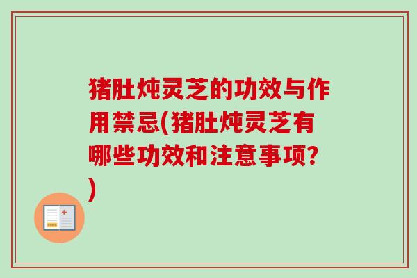 猪肚炖灵芝的功效与作用禁忌(猪肚炖灵芝有哪些功效和注意事项？)