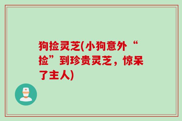 狗捡灵芝(小狗意外“捡”到珍贵灵芝，惊呆了主人)