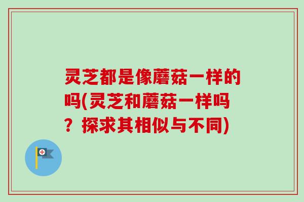 灵芝都是像蘑菇一样的吗(灵芝和蘑菇一样吗？探求其相似与不同)