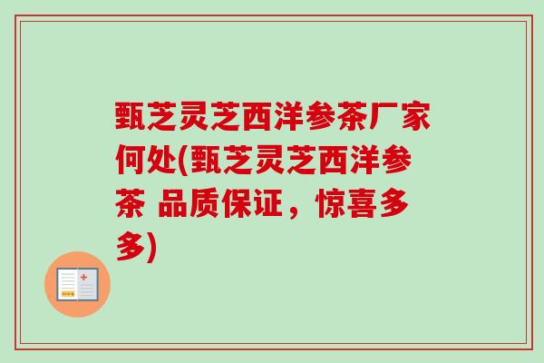 甄芝灵芝西洋参茶厂家何处(甄芝灵芝西洋参茶 品质保证，惊喜多多)