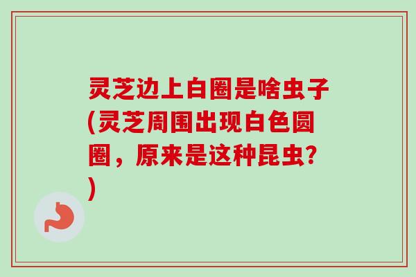 灵芝边上白圈是啥虫子(灵芝周围出现白色圆圈，原来是这种昆虫？)