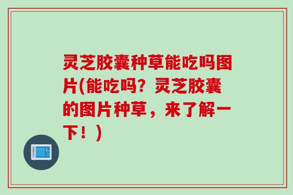 灵芝胶囊种草能吃吗图片(能吃吗?灵芝胶囊的图片种草,来了解一下!) 灵芝胶囊种草能吃吗图片(能吃吗?灵芝胶囊的图片种草,来了解一下!)