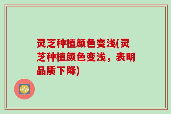 灵芝种植颜色变浅(灵芝种植颜色变浅，表明品质下降)
