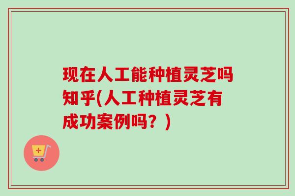 现在人工能种植灵芝吗知乎(人工种植灵芝有成功案例吗？)
