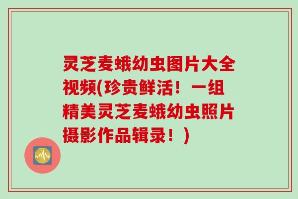 灵芝麦蛾幼虫图片大全视频(珍贵鲜活!一组精美灵芝麦蛾幼虫照片摄影作品辑录!) 灵芝麦蛾幼虫图片大全视频(珍贵鲜活!一组精美灵芝麦蛾幼虫照片摄影作品辑录!)