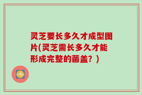 灵芝要长多久才成型图片(灵芝需长多久才能形成完整的菌盖？)