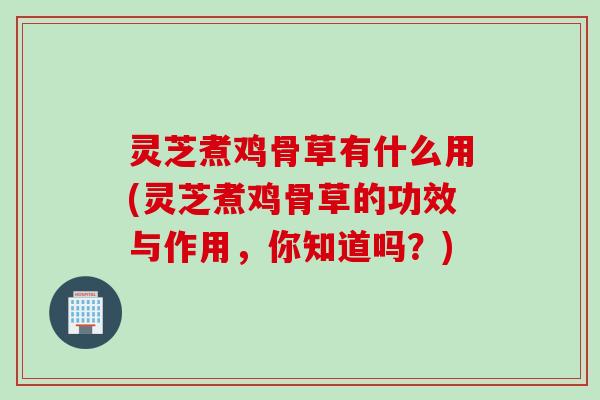 灵芝煮鸡骨草有什么用(灵芝煮鸡骨草的功效与作用,你知道吗?) 灵芝煮鸡骨草有什么用(灵芝煮鸡骨草的功效与作用,你知道吗?)
