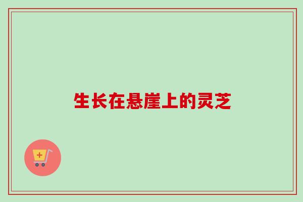 生长在悬崖上的灵芝