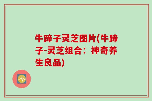 牛蹄子灵芝图片(牛蹄子-灵芝组合：神奇养生良品)