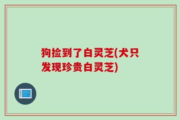 狗捡到了白灵芝(犬只发现珍贵白灵芝)