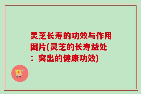 灵芝长寿的功效与作用图片(灵芝的长寿益处：突出的健康功效)