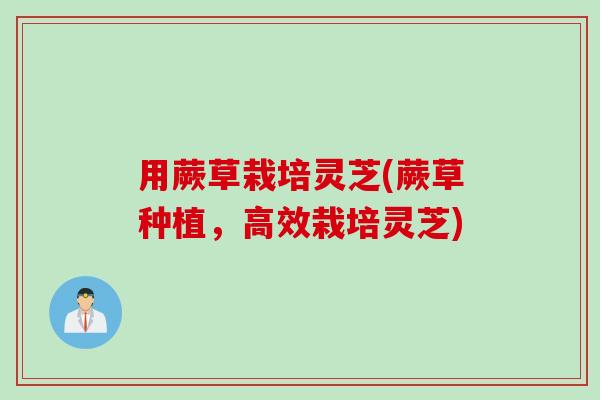 用蕨草栽培灵芝(蕨草种植，高效栽培灵芝)