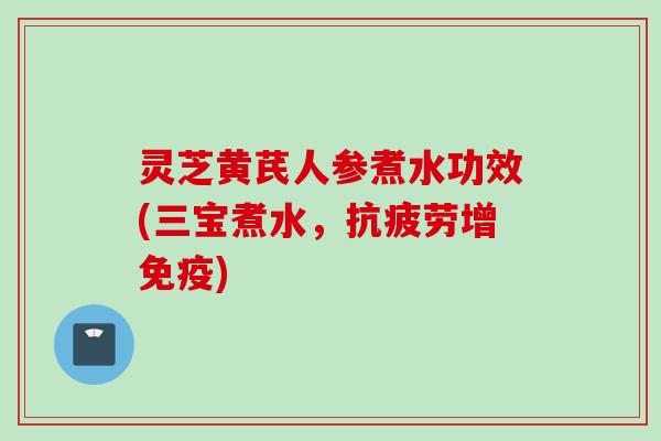 灵芝黄芪人参煮水功效(三宝煮水，抗疲劳增免疫)