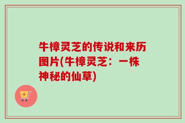 牛樟灵芝的传说和来历图片(牛樟灵芝：一株神秘的仙草)