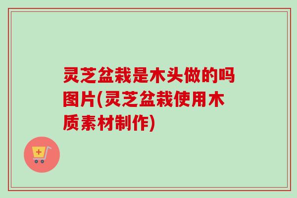 灵芝盆栽是木头做的吗图片(灵芝盆栽使用木质素材制作)
