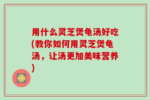 用什么灵芝煲龟汤好吃(教你如何用灵芝煲龟汤，让汤更加美味营养)
