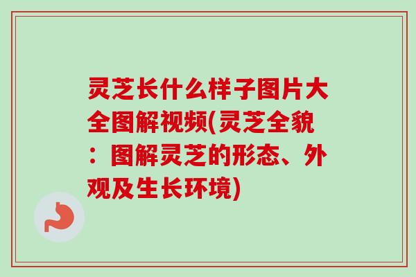 灵芝长什么样子图片大全图解视频(灵芝全貌:图解灵芝的形态、外观及生长环境) 灵芝长什么样子图片大全图解视频(灵芝全貌:图解灵芝的形态、外观及生长环境)