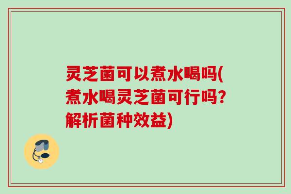 灵芝菌可以煮水喝吗(煮水喝灵芝菌可行吗？解析菌种效益)