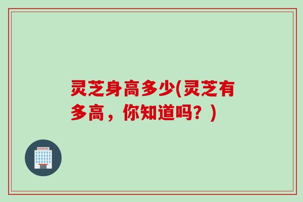 灵芝身高多少(灵芝有多高，你知道吗？)