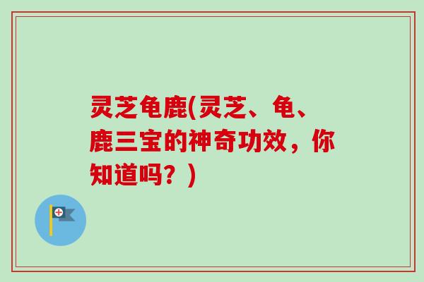 灵芝龟鹿(灵芝、龟、鹿三宝的神奇功效，你知道吗？)