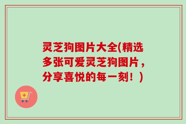 灵芝狗图片大全(精选多张可爱灵芝狗图片,分享喜悦的每一刻!) 灵芝狗图片大全(精选多张可爱灵芝狗图片,分享喜悦的每一刻!)