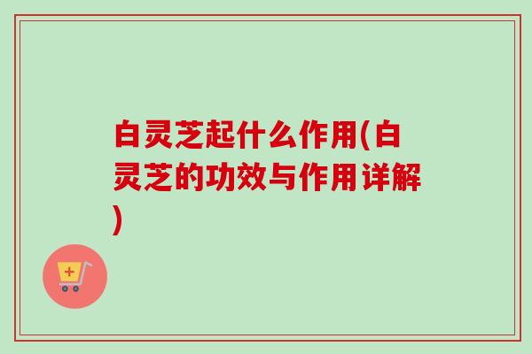 白灵芝起什么作用(白灵芝的功效与作用详解) 白灵芝起什么作用(白灵芝的功效与作用详解)