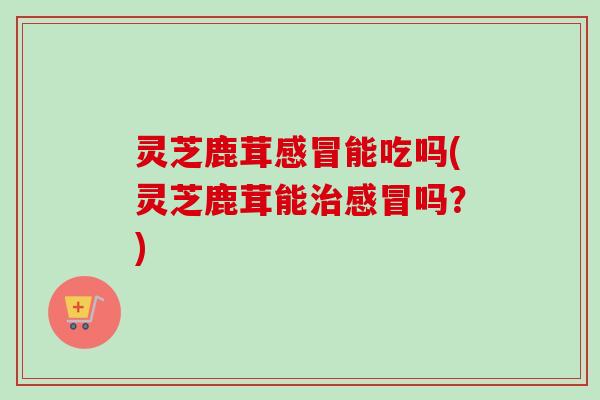 灵芝鹿茸感冒能吃吗(灵芝鹿茸能治感冒吗？)