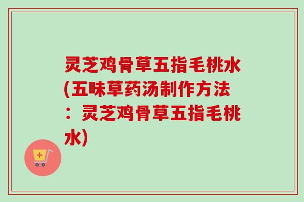 灵芝鸡骨草五指毛桃水(五味草药汤制作方法：灵芝鸡骨草五指毛桃水)