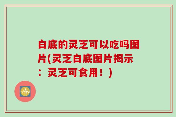 白底的灵芝可以吃吗图片(灵芝白底图片揭示:灵芝可食用!) 白底的灵芝可以吃吗图片(灵芝白底图片揭示:灵芝可食用!)