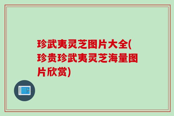珍武夷灵芝图片大全(珍贵珍武夷灵芝海量图片欣赏)