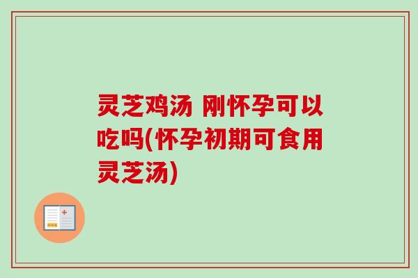 灵芝鸡汤 刚怀孕可以吃吗(怀孕初期可食用灵芝汤)