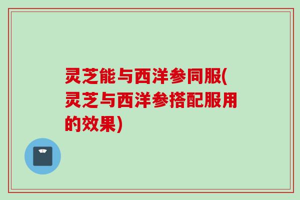 灵芝能与西洋参同服(灵芝与西洋参搭配服用的效果)