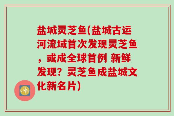 盐城灵芝鱼(盐城古运河流域首次发现灵芝鱼，或成全球首例 新鲜发现？灵芝鱼成盐城文化新名片)