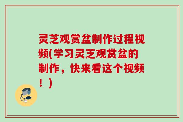 灵芝观赏盆制作过程视频(学习灵芝观赏盆的制作,快来看这个视频!) 灵芝观赏盆制作过程视频(学习灵芝观赏盆的制作,快来看这个视频!)