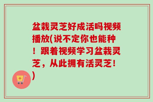 盆栽灵芝好成活吗视频播放(说不定你也能种！跟着视频学习盆栽灵芝，从此拥有活灵芝！)