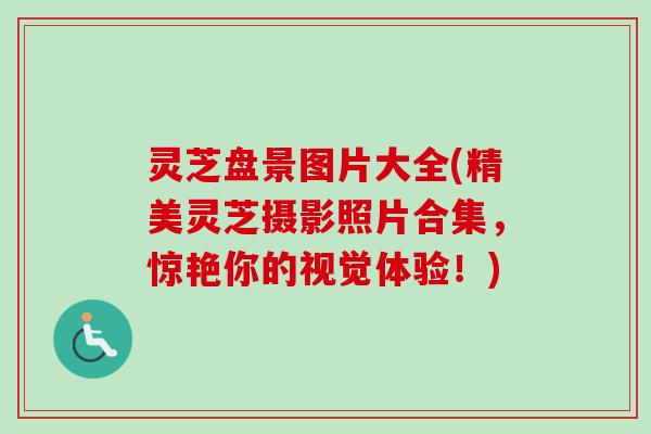 灵芝盘景图片大全(精美灵芝摄影照片合集，惊艳你的视觉体验！)