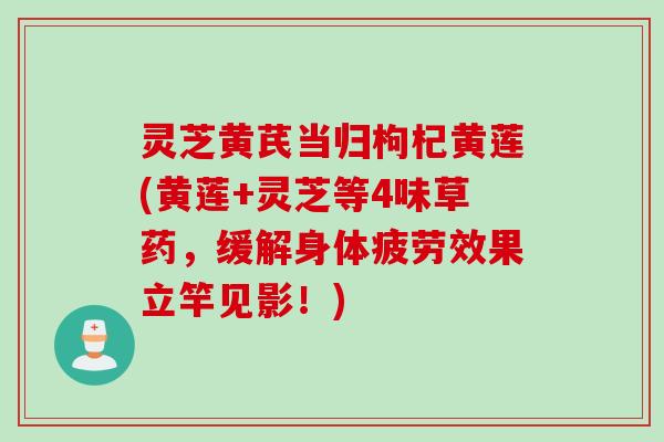 灵芝黄芪当归枸杞黄莲(黄莲+灵芝等4味草药,缓解身体疲劳效果立竿见影!) 灵芝黄芪当归枸杞黄莲(黄莲+灵芝等4味草药,缓解身体疲劳效果立竿见影!)