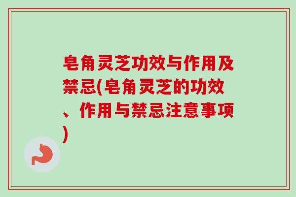 皂角灵芝功效与作用及禁忌(皂角灵芝的功效、作用与禁忌注意事项)