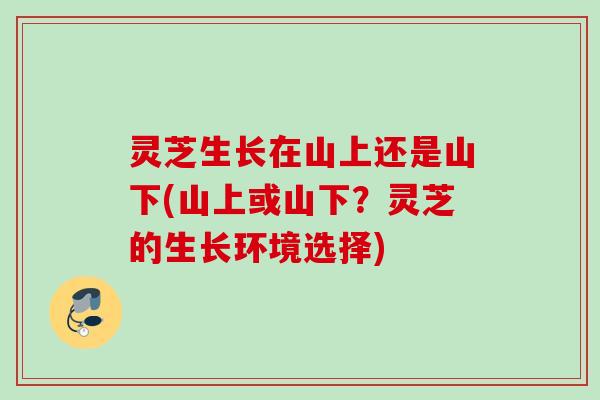 灵芝生长在山上还是山下(山上或山下?灵芝的生长环境选择) 灵芝生长在山上还是山下(山上或山下?灵芝的生长环境选择)