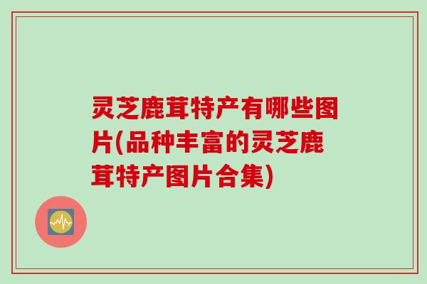 灵芝鹿茸特产有哪些图片(品种丰富的灵芝鹿茸特产图片合集)