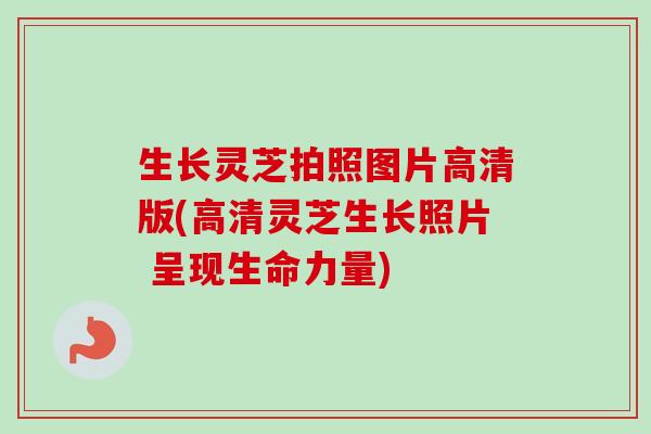 生长灵芝拍照图片高清版(高清灵芝生长照片 呈现生命力量)