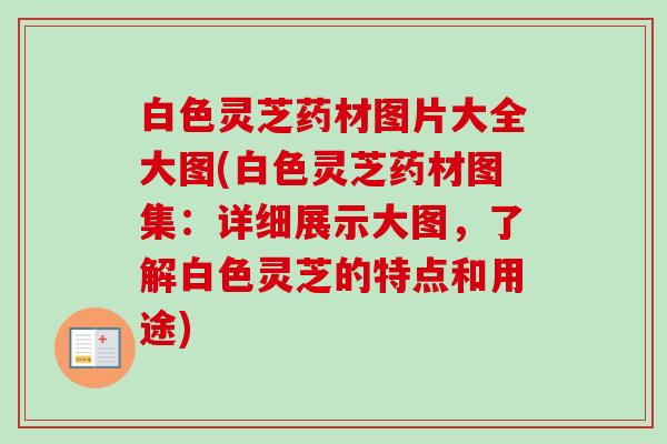 白色灵芝药材图片大全大图(白色灵芝药材图集:详细展示大图,了解白色灵芝的特点和用途) 白色灵芝药材图片大全大图(白色灵芝药材图集:详细展示大图,了解白色灵芝的特点和用途)