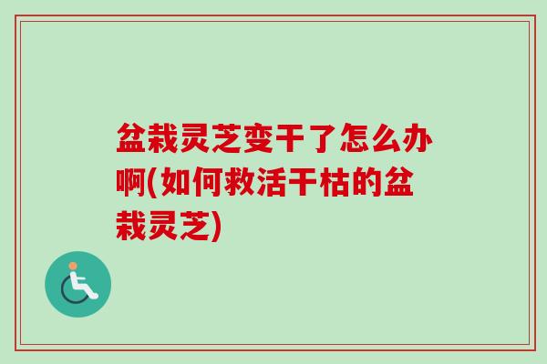 盆栽灵芝变干了怎么办啊(如何救活干枯的盆栽灵芝)
