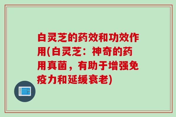 白灵芝的和功效作用(白灵芝:神奇的药用真菌,有助于增强免疫力和延缓) 白灵芝的和功效作用(白灵芝:神奇的药用真菌,有助于增强免疫力和延缓)