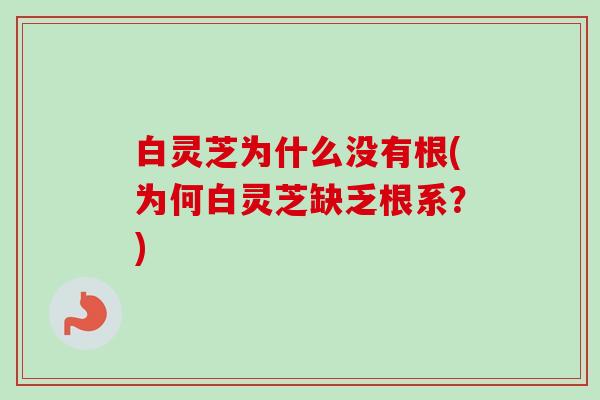白灵芝为什么没有根(为何白灵芝缺乏根系？)