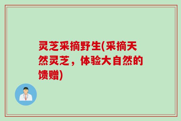 灵芝采摘野生(采摘天然灵芝，体验大自然的馈赠)