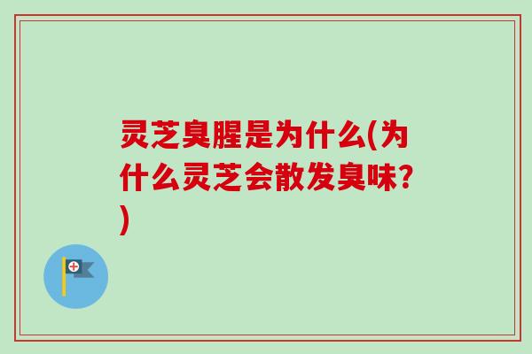 灵芝臭腥是为什么(为什么灵芝会散发臭味？)