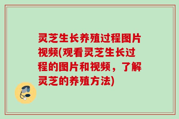 灵芝生长养殖过程图片视频(观看灵芝生长过程的图片和视频,了解灵芝的养殖方法) 灵芝生长养殖过程图片视频(观看灵芝生长过程的图片和视频,了解灵芝的养殖方法)