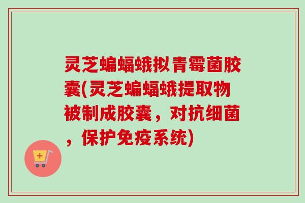灵芝蝙蝠蛾拟青霉菌胶囊(灵芝蝙蝠蛾提取物被制成胶囊，对抗细菌，保护免疫系统)