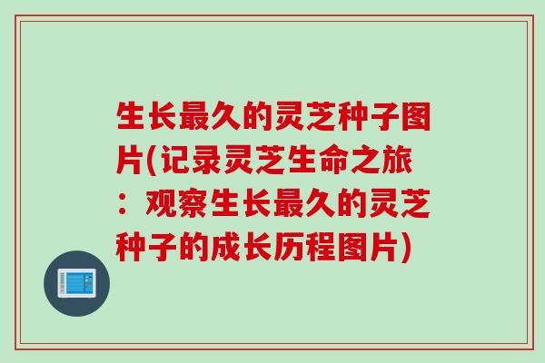 生长久的灵芝种子图片(记录灵芝生命之旅:观察生长久的灵芝种子的成长历程图片) 生长久的灵芝种子图片(记录灵芝生命之旅:观察生长久的灵芝种子的成长历程图片)